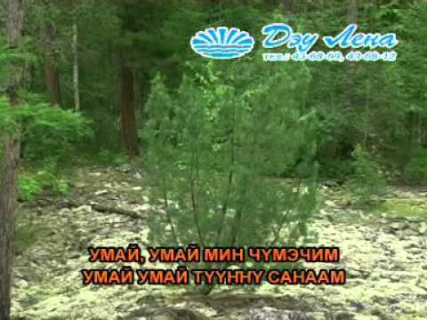 Видео: Сахалыы караоке 5 11