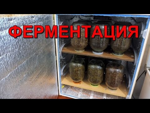 Видео: Отвечаю на вопросы по Ферментатору - вентиляция,  влажность и температура.