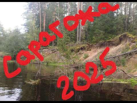 Видео: ПВД на ПВХ: Сарагожа 2025