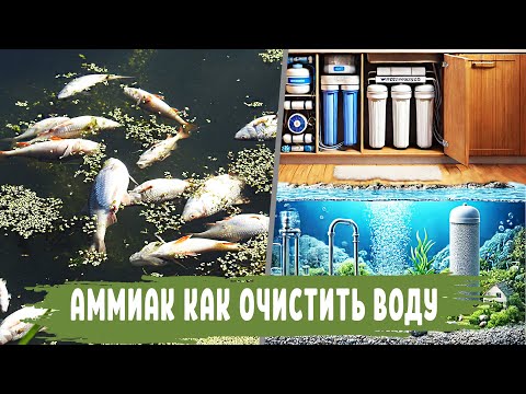 Видео: Как удалить АММИАК из воды с помощью фильтров, что делать если в воде есть АММИАК