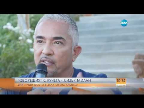 Видео: Говорещият с кучета - Сизър Милан - Събуди се (19.03.2017)