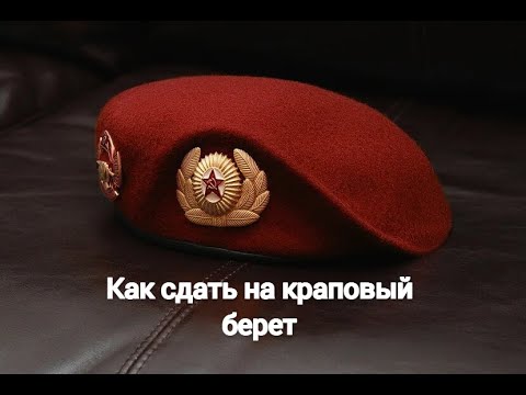 Видео: Как сдать на краповый берет | подготовка на краповый берет