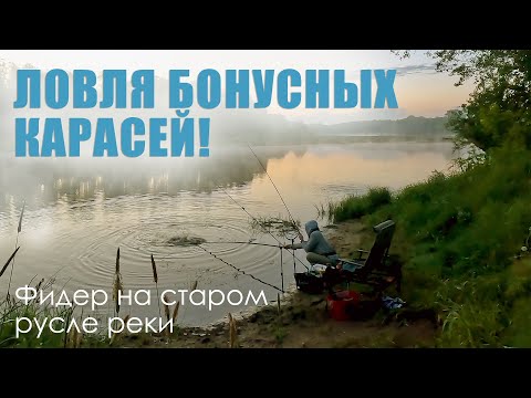 Видео: 🎣🎣🎣 КАРАСИ ГНУТ ФИДЕР В ДУГУ / Мощные поклевки карася / Ловля карася на фидер / Карась на флет