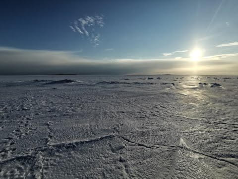 Видео: Лопский берег, Колежма, Белое море, зима 15-22.02.2022