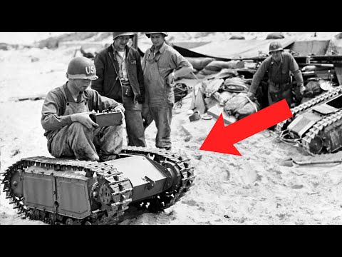 Видео: Маленький Танчик, Которого Боялись До Жути