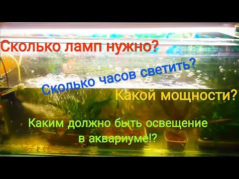 Видео: Каким должно быть освещение в аквариуме?Ещё раз поговорим о травниках.