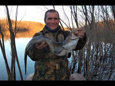 Видео: ВЕСНОВКА 2021 \ УГАРНЫЕ ГОСТИ \ ЗАВЕРШЕНИЕ ПЕРВОГО ЭТАПА