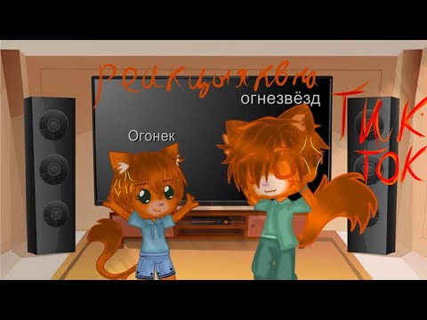 Видео: //🐈❤️//реакция котов-воителей на ТТ//❤️🐈//