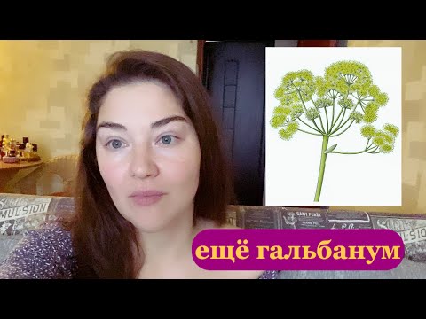 Видео: гальбанум в парфюмерии ч.2