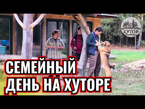 Видео: ЛЕСНОЕ НАСЛЕДСТВО. СЕМЕЙНЫЕ РАБОТЫ НА ХУТОРЕ.