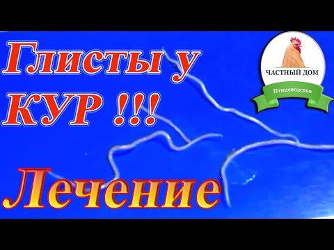 Видео: Глисты у кур Симптомы Профилактика Лечение