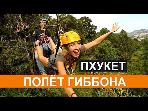 Видео: ПОЛЕТ ГИББОНА (ХАНУМАН) НА ПХУКЕТЕ, ТАЙЛАНД ☼