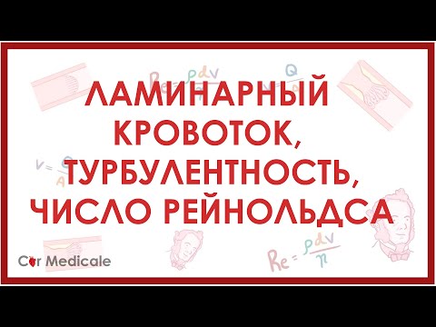 Видео: Ламинарный кровоток, турбулентность, число Рейнольдса - физиология сердечно-сосудистой системы