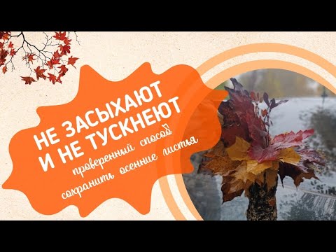 Видео: Сохранить листья надолго: проверенный способ с 2-мя компонентами. DIY осенний декор