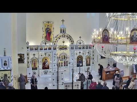 Видео: Трансляція