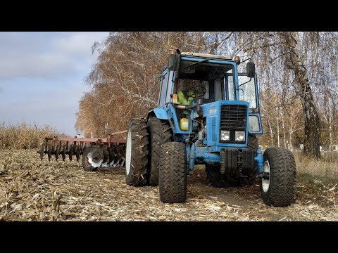 Видео: МТЗ-80 и старушка БДТ. Тяжелая дисковка кукурузы