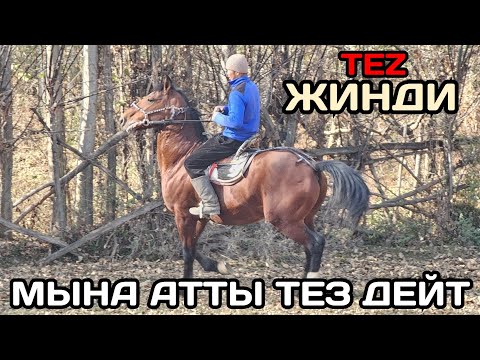 Видео: СКОРОСТ БЕЩЕННЫЙ ЭКЕН ЖИНДИДЕ😱