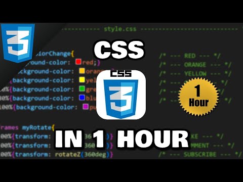 Видео: Изучите CSS за 1 час 🎨