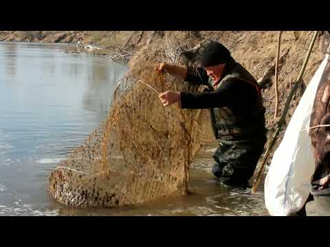 Видео: Рыбалка на фитиль .....Хороший улов!!!!