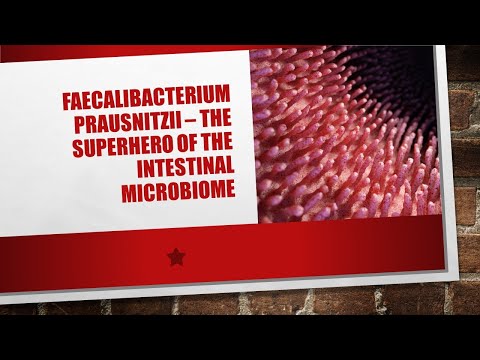 Видео: Faecalibacterium prausnitzii: невоспетый супергерой кишечника