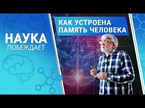 Видео: Память человека: как мозг сохраняет информацию | Наука побеждает