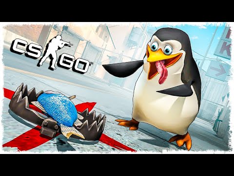 Видео: НЕ ТРОГАЙ!!! ЭТО ЛОВУШКА!!! УГАР В CS:GO!!!