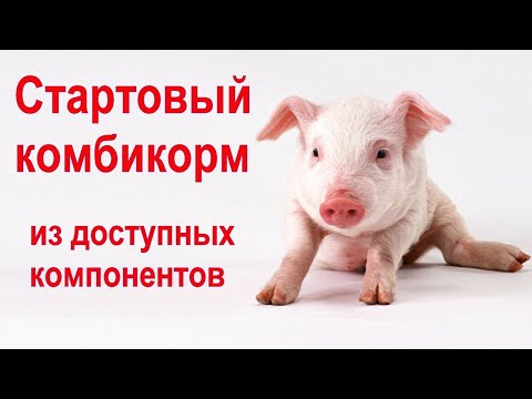 Видео: Стартовый комбикорм для поросят. Расчет состава из доступных компонентов.