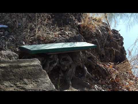 Видео: Песчаное  Осень 2025 года