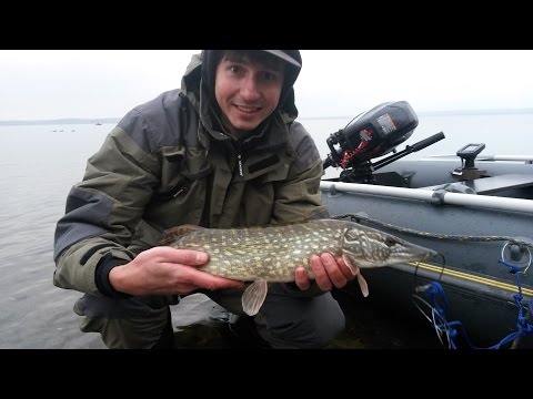 Видео: Осенняя рыбалка на Минском море. Заславское водохранилище. Ноябрь