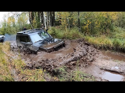 Видео: Дорога на 11 точку "Стрельчиха" или Зачем пузотерки поехали туда???