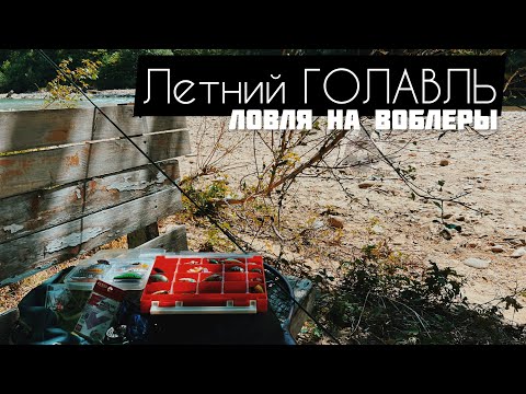 Видео: Летний голавль на малых реках. Ловля голавля на воблеры. Кренки, поппер #рыбалка2023 #спиннинг