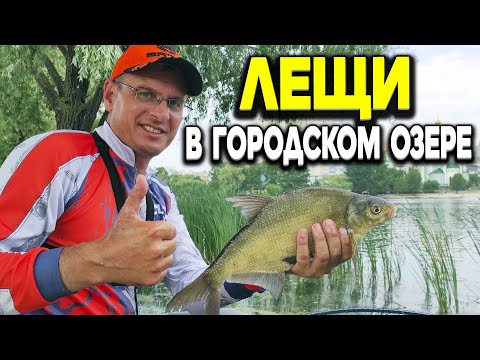 Видео: Лещи в городском озере!!! Очередная удачная рыбалка Дяди Фёдора на фидер.