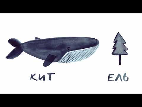 Видео: Как возникли буквы и иероглифы? Мультфильм на полторы минуты