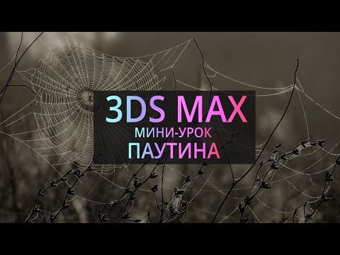 Видео: Мини урок по 3Ds MAX: Паутина