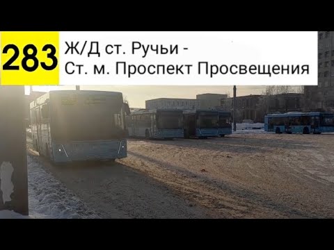 Видео: Автобус 283. Ж/Д ст. Ручьи - Ст. м. Проспект Просвещения