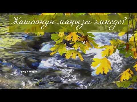 Видео: Жашоонун маңызы эмнеде?