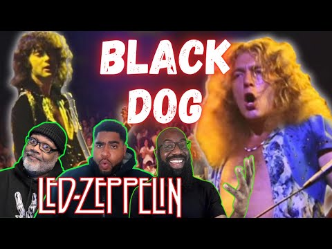 Видео: Led Zeppelin — Реакция на «Black Dog»! Пейдж и Плант! Бонэм и Джонс! Волшебники на Musicianship!