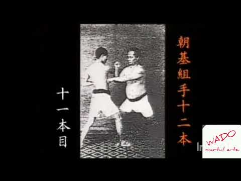 Видео: Окинавское каратэ мотобу рю.