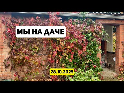 Видео: Мы на даче
