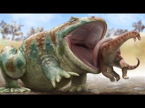 Видео: Доисторическая Лягушка, Охотившаяся на Динозавров