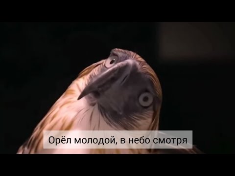 Видео: Свидетельство и псалом. 