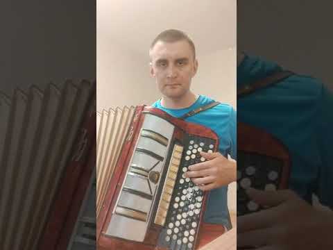 Видео: Иван Кучин - В таверне (cover на баяне)