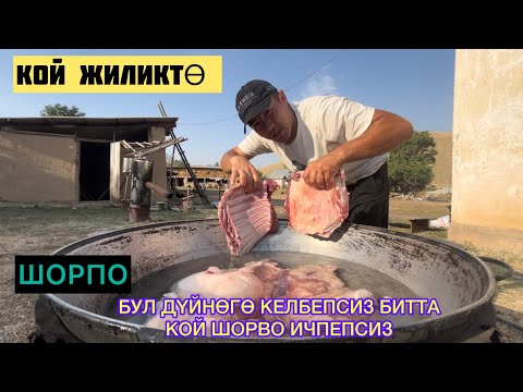 Видео: Бул нерсени адамдар көргөзбөйт