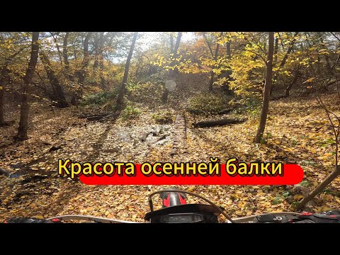 Видео: Красота осенней балки