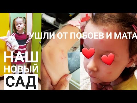 Видео: МОИ ОШИБКИ ПРИ ВЫБОРЕ САДИКА. Показываю НАШ НОВЫЙ САД. Убежали от систематических побоев и мата(