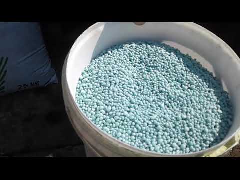 Видео: Комплексная подкормка ягодных культур