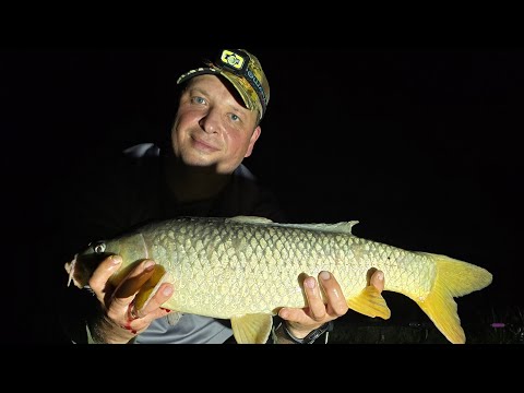 Видео: Carp fishing Карпы сломали подсаку!!!