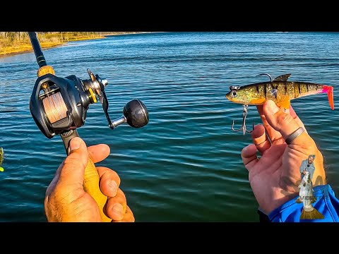 Видео: Выбор снасти КОГДА и ПОЧЕМУ Barra Basics