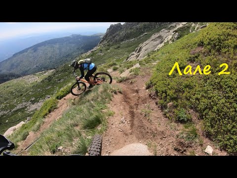 Видео: Витошко лале 2