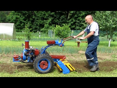 Видео: Фрезеровка фацелии и снова посев.